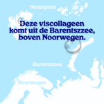 Viscollageen poeder Aardbei
